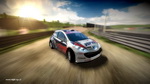 Rally Poland