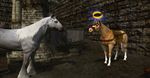 The Lord of the Rings Online: Riders of Rohan