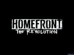 Homefront: The Revolution