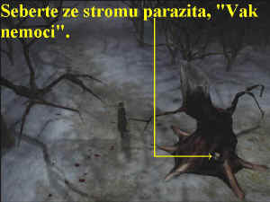 0000000485_n03.jpg (59233 bytes)