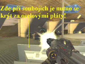 0000005919_n07.jpg (67562 bytes)