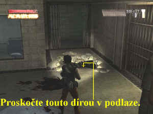 0000008288_n06.jpg (62643 bytes)