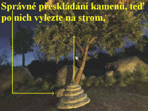 0000008346_n05.jpg (93963 bytes)