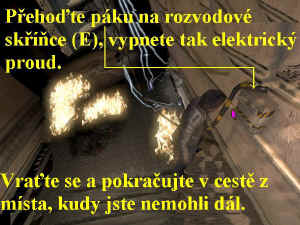 0000008981_n02.jpg (88022 bytes)