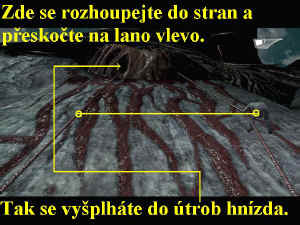 0000008981_n08.jpg (99107 bytes)