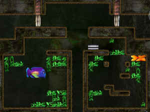 0000009393_n19.jpg (116283 bytes)