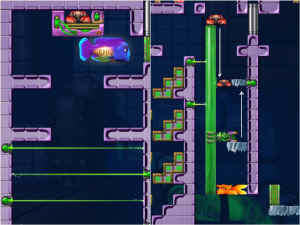 0000009393_n81.jpg (96383 bytes)