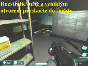 0000009449_n06.jpg (72920 bytes)