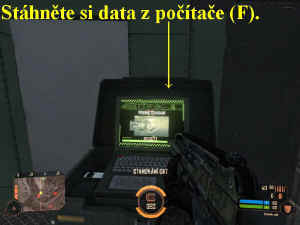 0000010686_n01.jpg (44252 bytes)